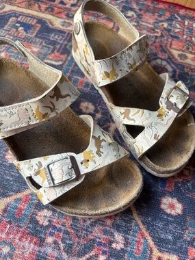 Kids Birkenstock Dinosaur-Print Sandals/ Size 33 (2-2.5)